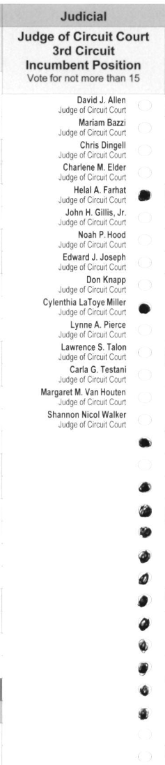 Primary-style BMD ballot example 1